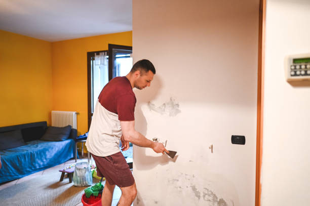 Best Office Mold Removal Services  in Shelbyville, KY